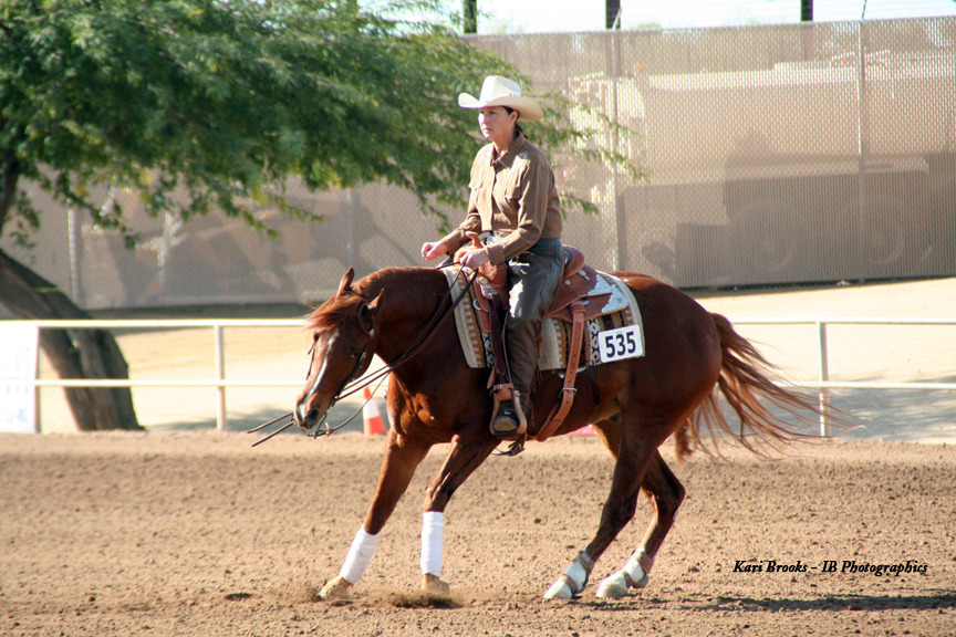 2014 Scottsdale Arabian Horse Show