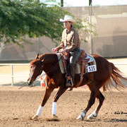 2014 Scottsdale Arabian Horse Show