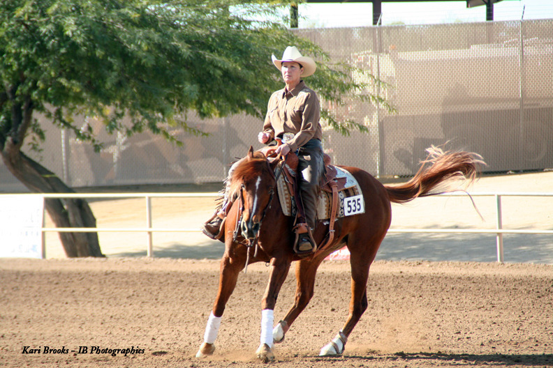 2014 Scottsdale Arabian Horse Show