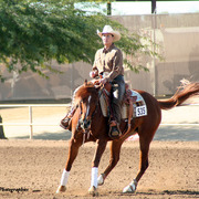 2014 Scottsdale Arabian Horse Show