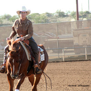 2014 Scottsdale Arabian Horse Show