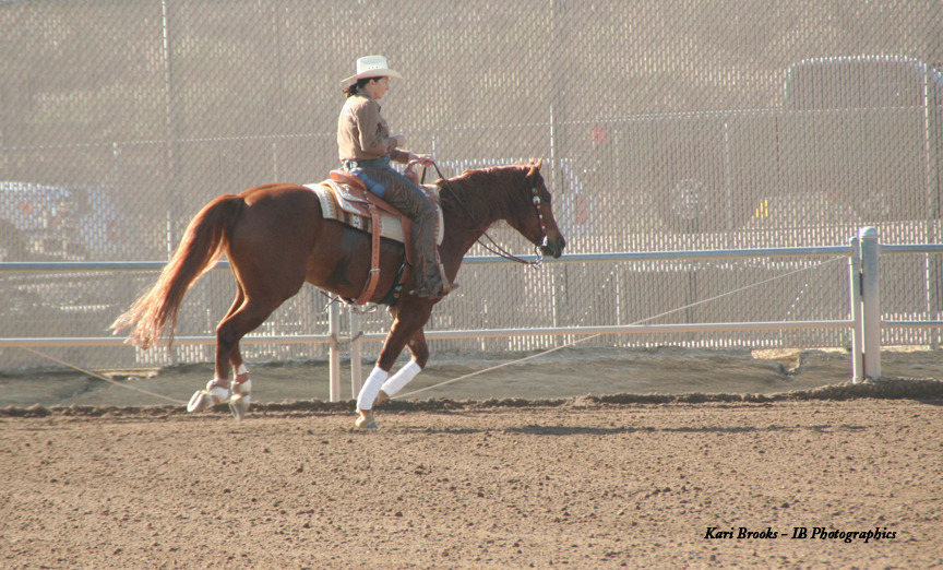 2014 Scottsdale Arabian Horse Show