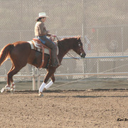 2014 Scottsdale Arabian Horse Show