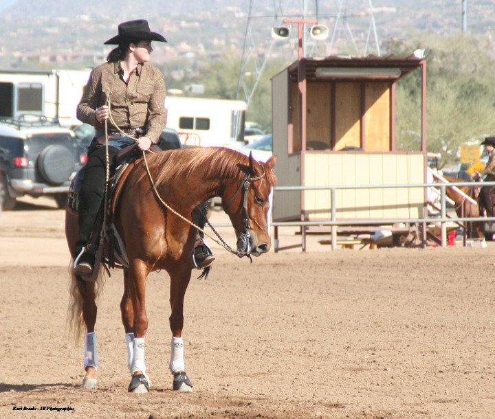 2014 Scottsdale Arabian Horse Show