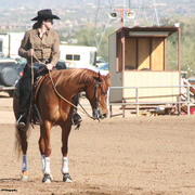 2014 Scottsdale Arabian Horse Show