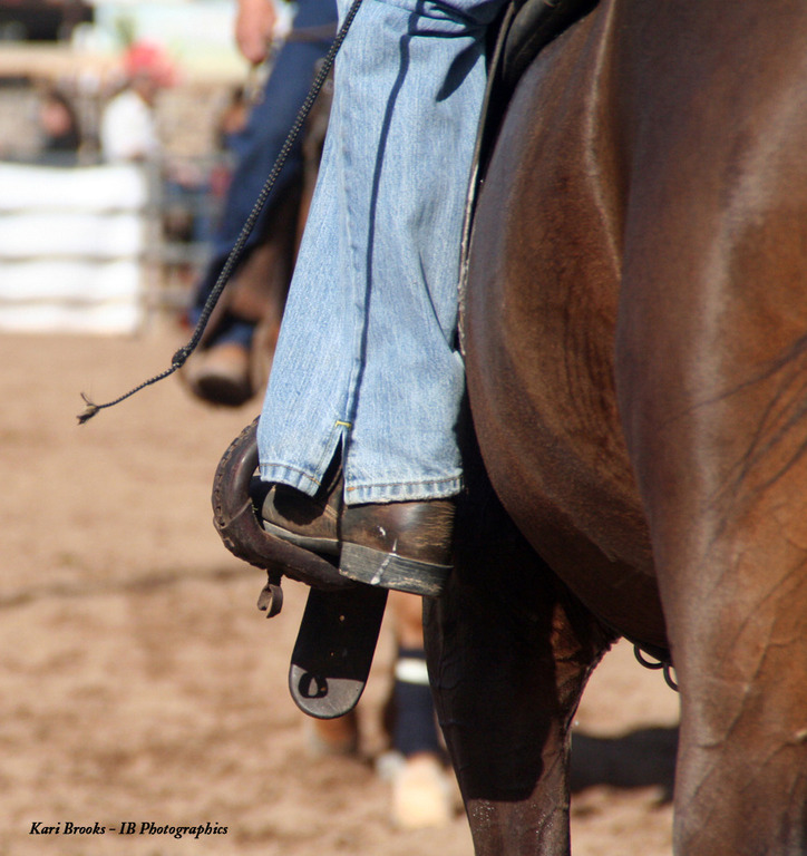 2014 Scottsdale Arabian Horse Show