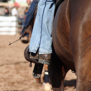2014 Scottsdale Arabian Horse Show