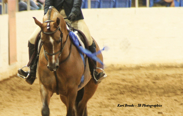 2014 Scottsdale Arabian Horse Show