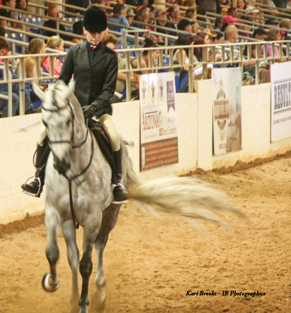 2014 Scottsdale Arabian Horse Show