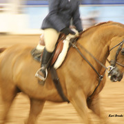 2014 Scottsdale Arabian Horse Show