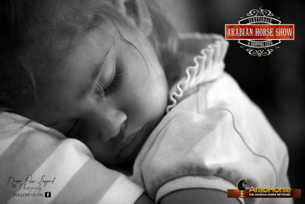 2014 Scottsdale Arabian Horse Show