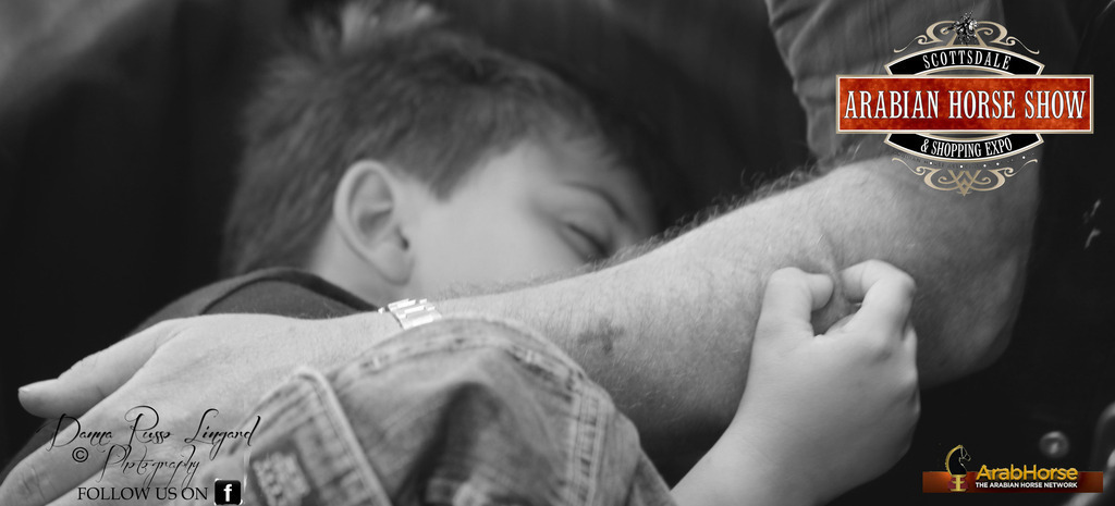 2014 Scottsdale Arabian Horse Show