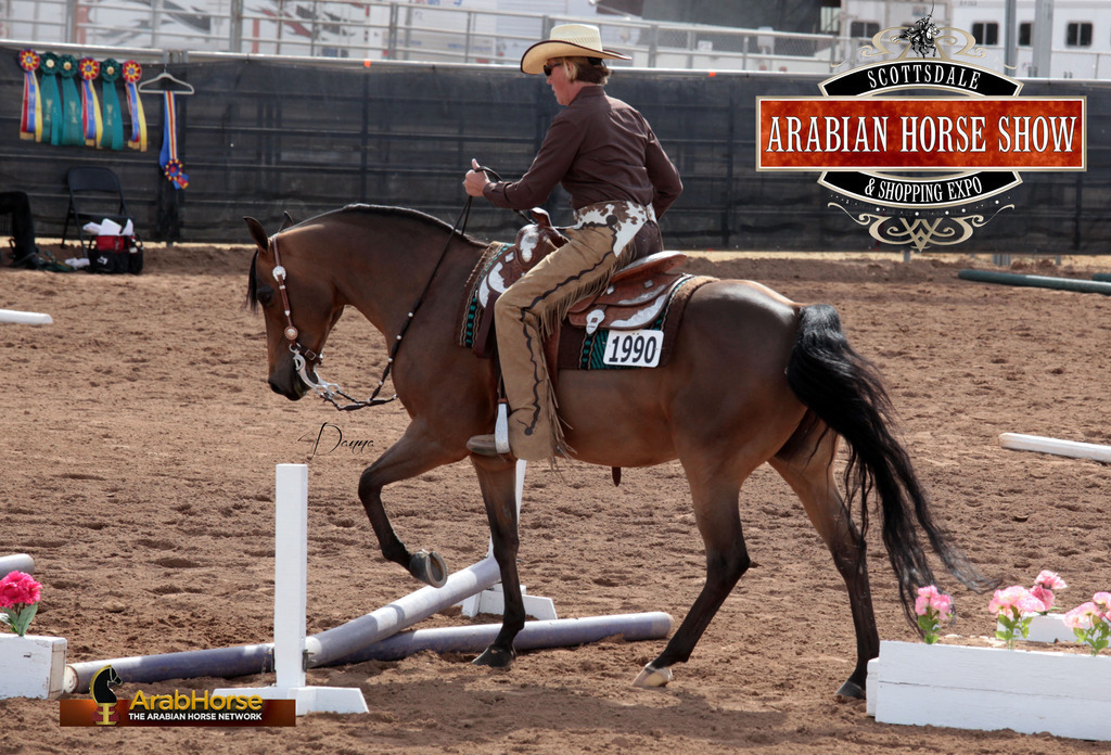 2014 Scottsdale Arabian Horse Show