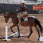 2014 Scottsdale Arabian Horse Show