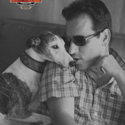 2014 Scottsdale Arabian Horse Show