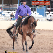 2014 Scottsdale Arabian Horse Show