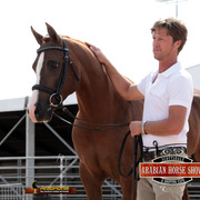 2014 Scottsdale Arabian Horse Show