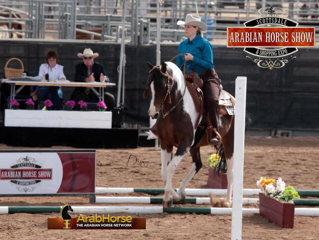 2014 Scottsdale Arabian Horse Show