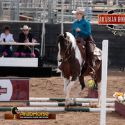2014 Scottsdale Arabian Horse Show