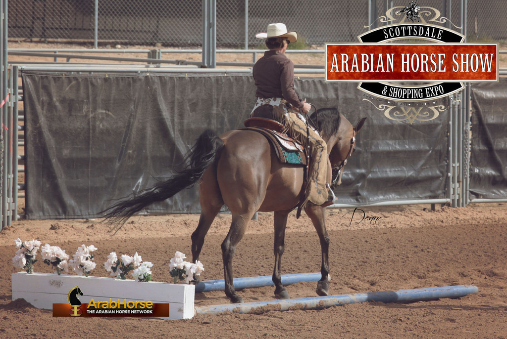2014 Scottsdale Arabian Horse Show