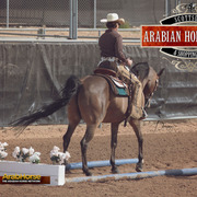 2014 Scottsdale Arabian Horse Show