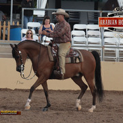 2014 Scottsdale Arabian Horse Show