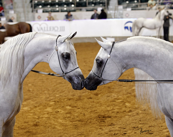 2011 US Nationals News & Reviews, Saturday