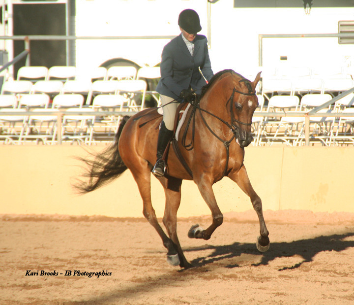 2014 Scottsdale Arabian Horse Show