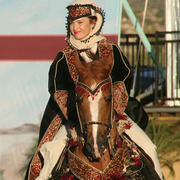 2014 Scottsdale Arabian Horse Show