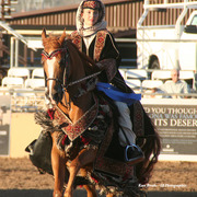 2014 Scottsdale Arabian Horse Show