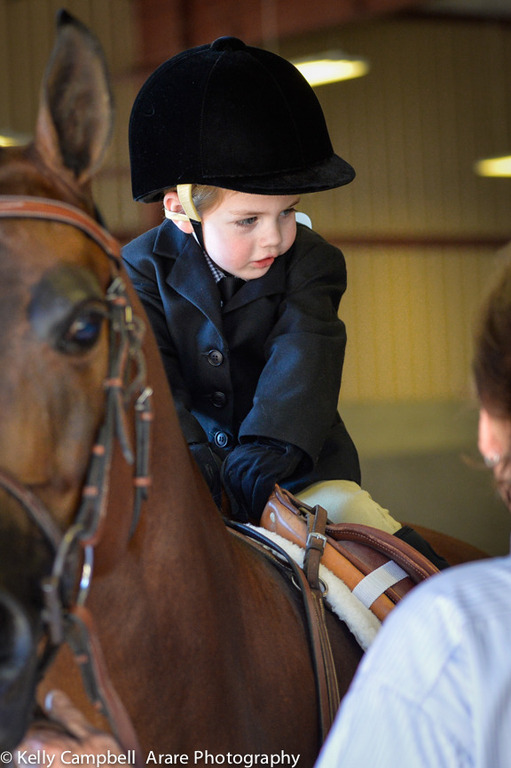 Kelly Campbell 2014 Scottsdale Arabian Horse Show