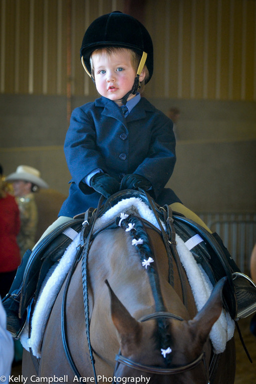 Kelly Campbell 2014 Scottsdale Arabian Horse Show