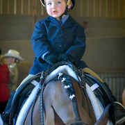 Kelly Campbell 2014 Scottsdale Arabian Horse Show