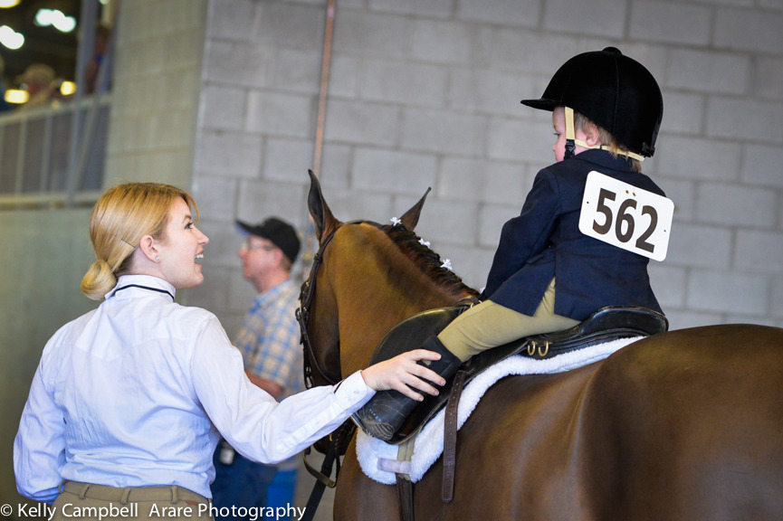 Kelly Campbell 2014 Scottsdale Arabian Horse Show
