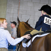Kelly Campbell 2014 Scottsdale Arabian Horse Show