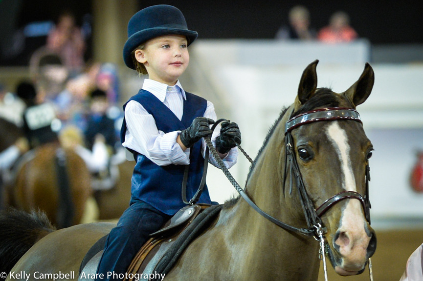 Kelly Campbell 2014 Scottsdale Arabian Horse Show