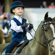 Kelly Campbell 2014 Scottsdale Arabian Horse Show