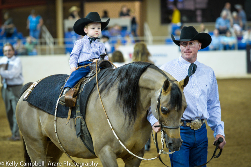 Kelly Campbell 2014 Scottsdale Arabian Horse Show