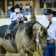 Kelly Campbell 2014 Scottsdale Arabian Horse Show