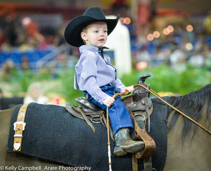 Kelly Campbell 2014 Scottsdale Arabian Horse Show