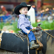 Kelly Campbell 2014 Scottsdale Arabian Horse Show