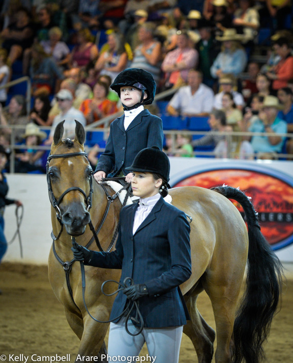 Kelly Campbell 2014 Scottsdale Arabian Horse Show