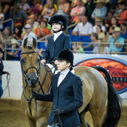 Kelly Campbell 2014 Scottsdale Arabian Horse Show