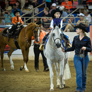 Kelly Campbell 2014 Scottsdale Arabian Horse Show