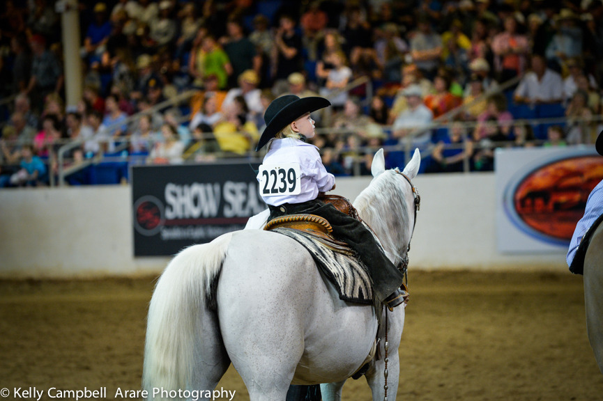 Kelly Campbell 2014 Scottsdale Arabian Horse Show