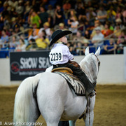 Kelly Campbell 2014 Scottsdale Arabian Horse Show