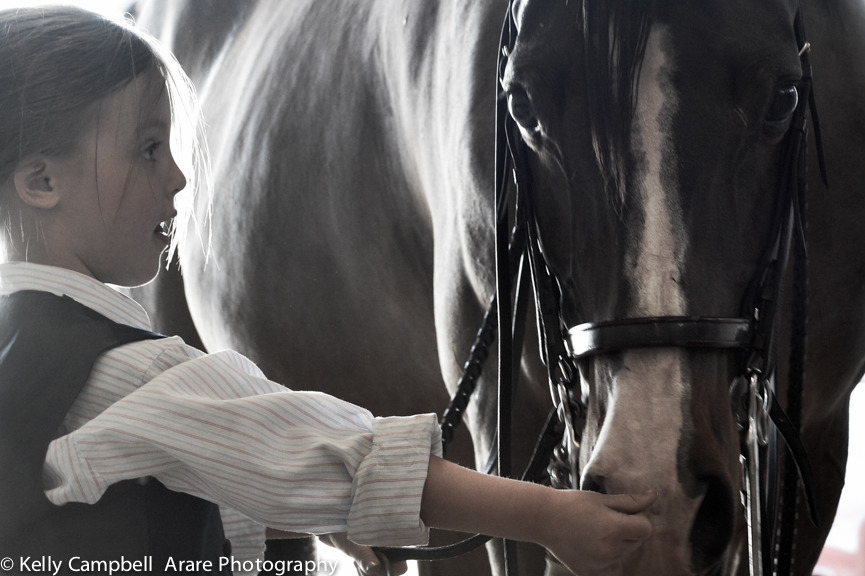 Kelly Campbell 2014 Scottsdale Arabian Horse Show
