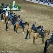 Kelly Campbell 2014 Scottsdale Arabian Horse Show