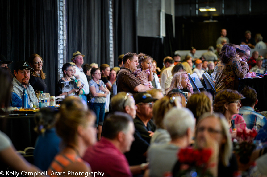 Kelly Campbell 2014 Scottsdale Arabian Horse Show