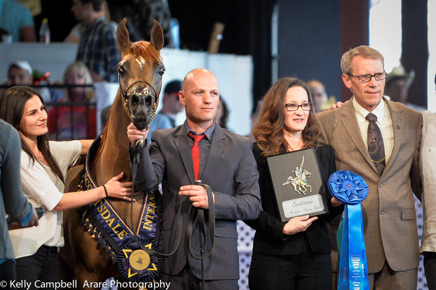 Kelly Campbell 2014 Scottsdale Arabian Horse Show